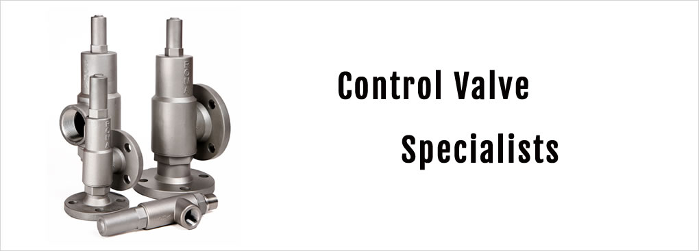 control valve specialists